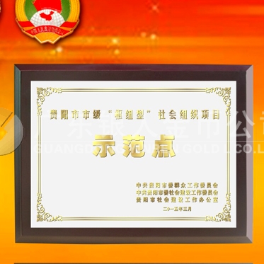 2015年3月：贵阳市表彰先进奖牌高档钛金奖牌定制